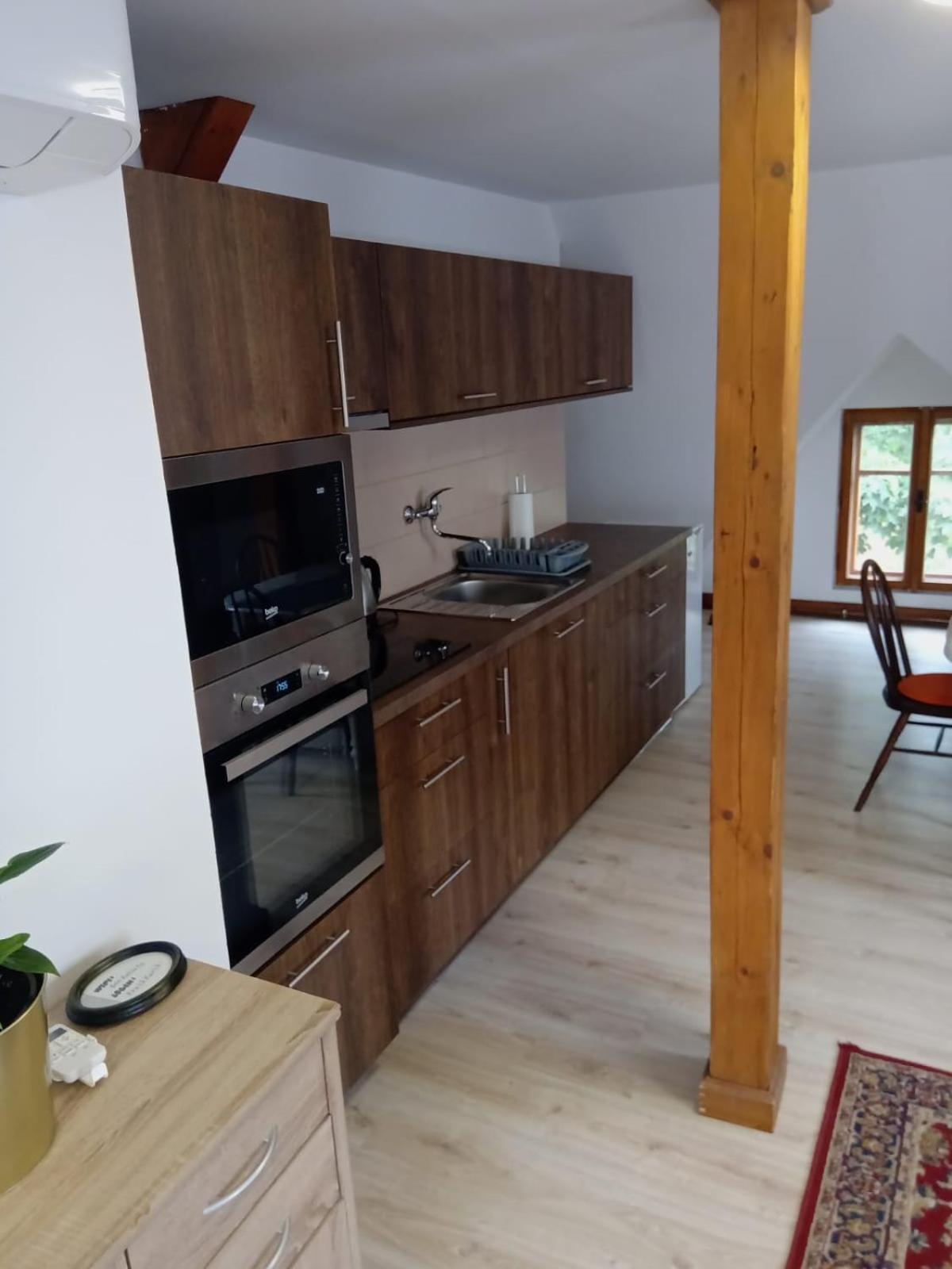 Historic Apartament