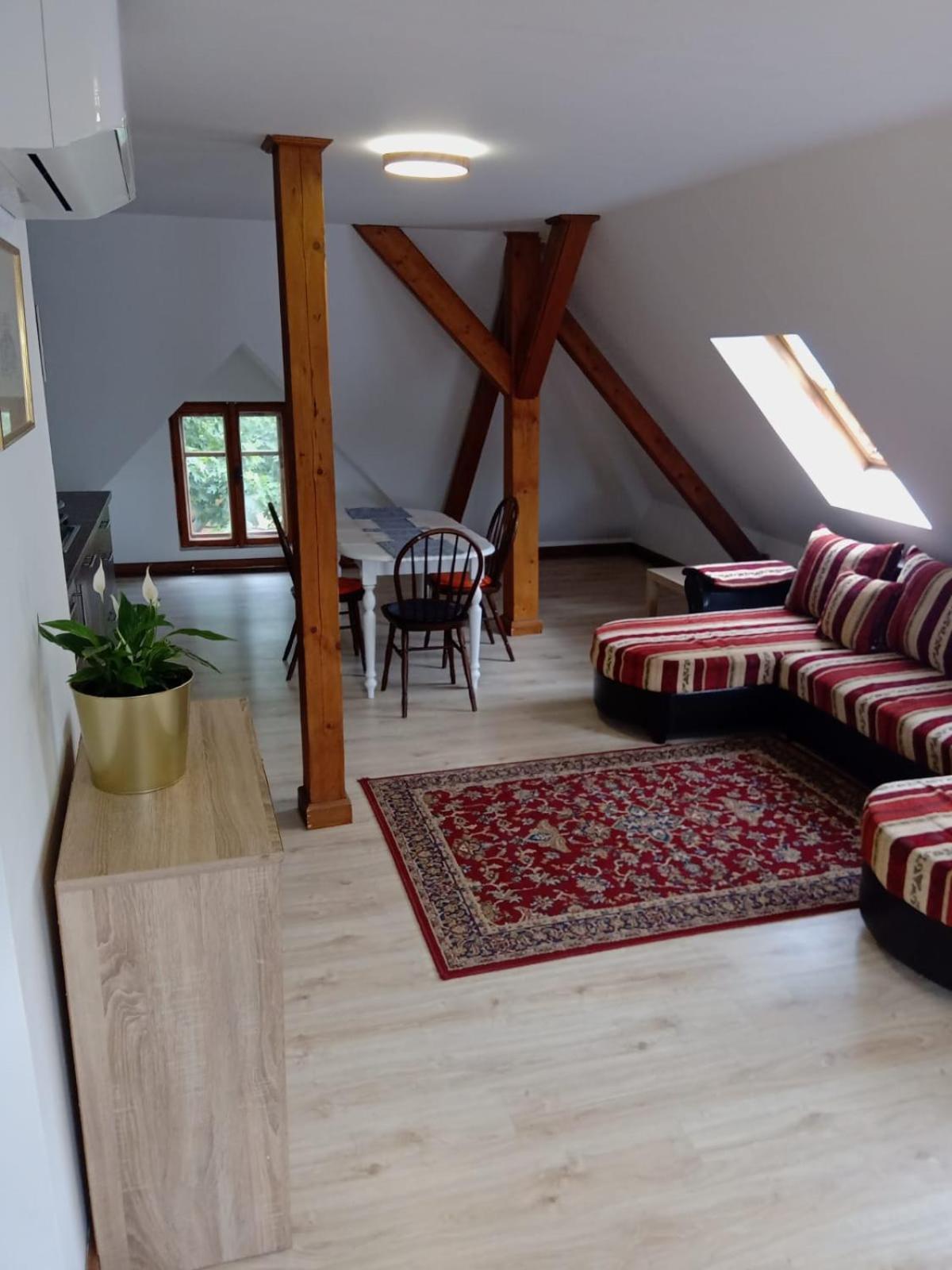 Historic Apartament