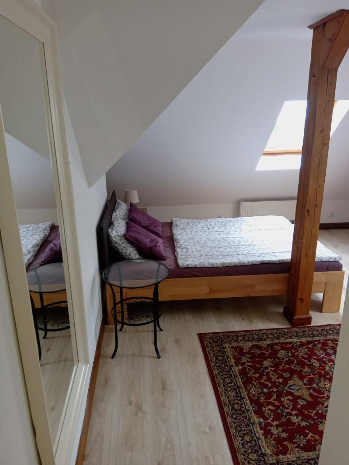Historic Apartament Praga